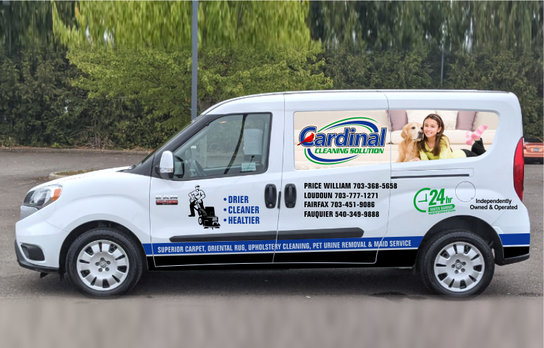 Carpet Cleaners in Manassas, VA | Cardinal Cleaning Solution